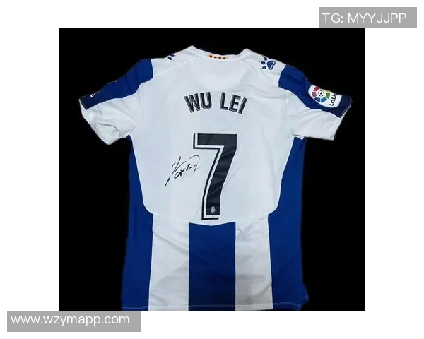 全球足球明星签名球衣收藏价值排行榜及其背后的故事分析 全球足球明星签名球衣收藏价值排行榜及其背后的故事分析