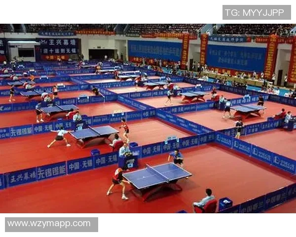 北京乒乓球队实力解析与发展前景探讨聚焦乒乓球运动的未来之路 北京乒乓球队实力解析与发展前景探讨聚焦乒乓球运动的未来之路