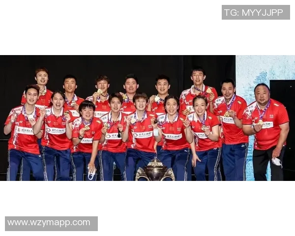 南京羽毛球队意识争议引发热议球迷与专家各执己见探讨背后原因